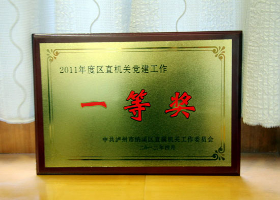 纳溪区国税局：党建工作目标考核一等奖