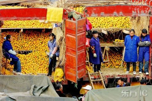 盘点十大网络谣言(图2)