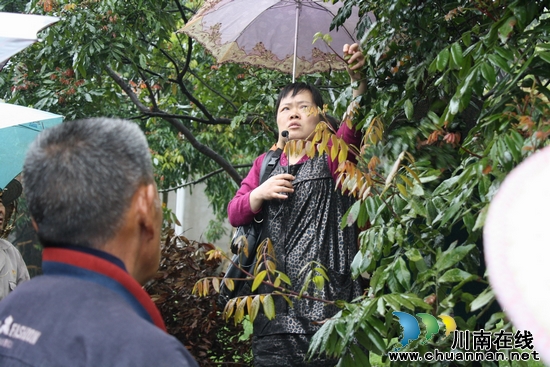 海潮镇：现场技术培训助推海潮龙眼示范园建设(图3)
