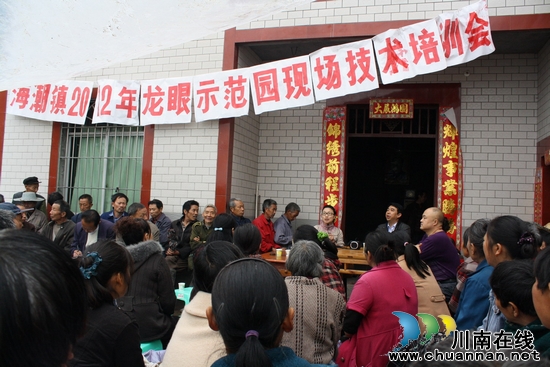 海潮镇：现场技术培训助推海潮龙眼示范园建设(图1)