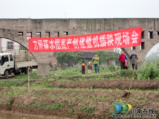方洞镇：召开水稻高产创建暨机械化插秧现场会(图1)