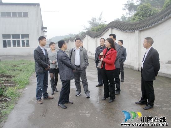 泸州市统计局总统计师梅秀莲到佛荫镇检查指导工作(图1) 泸州市统计局总统计师梅秀莲到佛荫镇检查指导工作(图1)