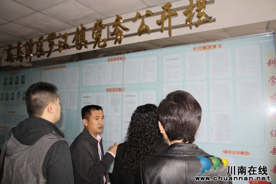 罗汉镇：积极推进党务公开工作