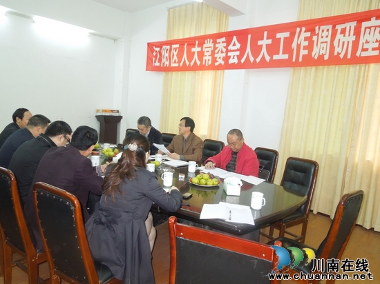 江阳区人大领导到泰安镇调研人大工作