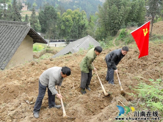麻城乡：“党员服务队”在行动(图1)