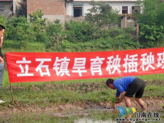 立石镇：农技员躬身示范三维立体插秧