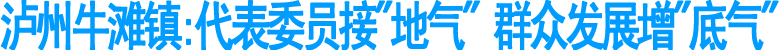 牛滩镇“联村帮户”破解新农村建设困局