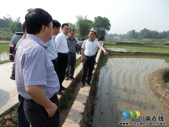 大桥镇:万举修率队到大桥调研农村工作(图3) 大桥镇:万举修率队到大桥调研农村工作(图3)