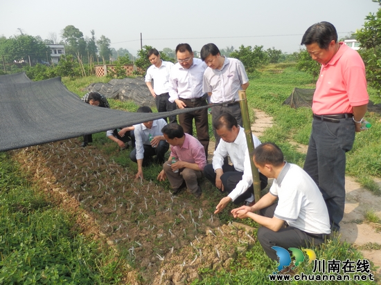 大桥镇:万举修率队到大桥调研农村工作(图5) 大桥镇:万举修率队到大桥调研农村工作(图5)