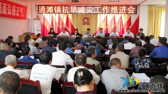通滩镇：召开抗旱减灾工作推进会
