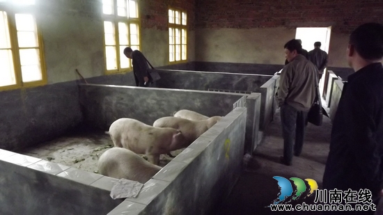 天兴镇：积极推动生猪健康养殖小区建设