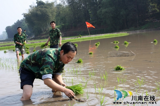 龙车镇：助春耕&nbsp;民兵给力“劳弱户”(图2)