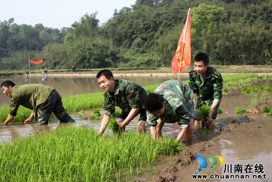 龙车镇：助春耕&nbsp;民兵给力“劳弱户”