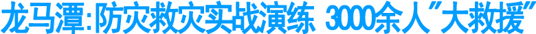 龙马潭:防灾救灾实战演练&nbsp;3000余人"大救援"