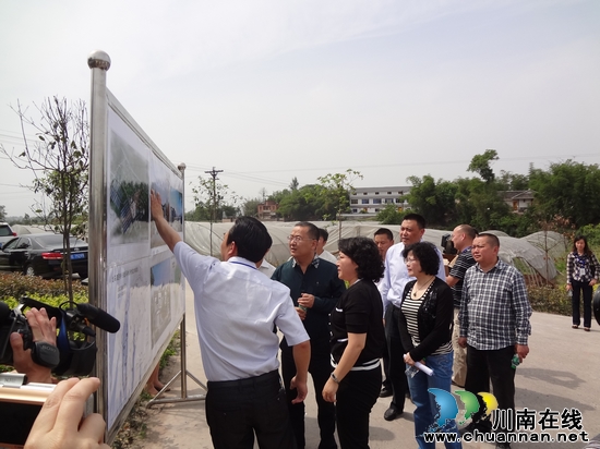 李晓宇到龙马潭特兴调研走马新农村综合体建设工作