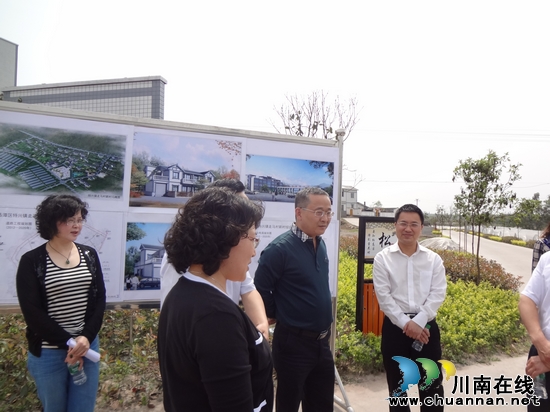 李晓宇到龙马潭特兴调研走马新农村综合体建设工作(图1)