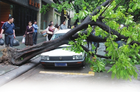 狂风暴雨袭川南&nbsp;泸州纳溪最猛：风力九级冰雹密集(图1)