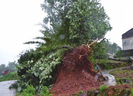 狂风暴雨袭川南&nbsp;泸州纳溪最猛：风力九级冰雹密集(图3)