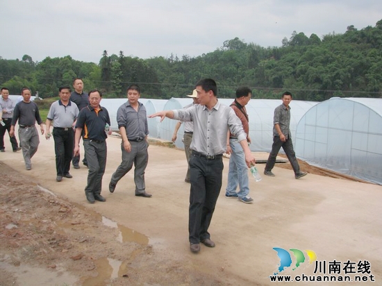 水尾镇：小农水惠民工程迎来市考评组的考评(图1)