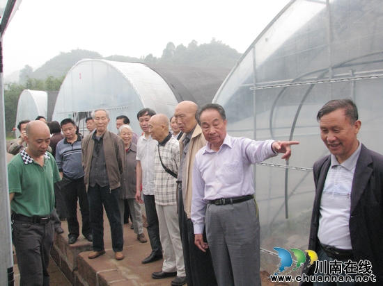 叙永县关工委到水尾视察指导工作(图1)