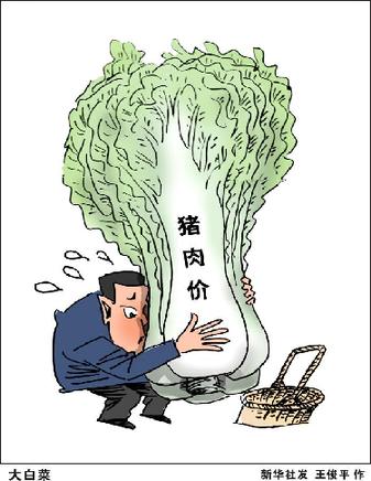 吃棵健康又便宜的白菜咋就成难事了(图1)