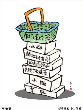 吃棵健康又便宜的白菜咋就成难事了(图3)