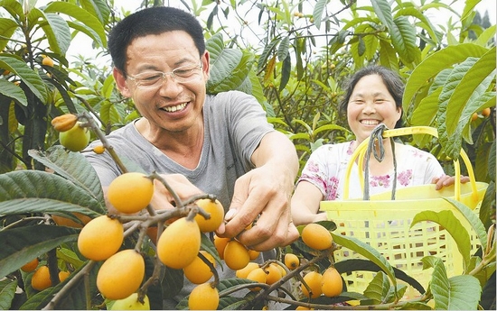内遂高速：一条珍珠链联结三大经济区