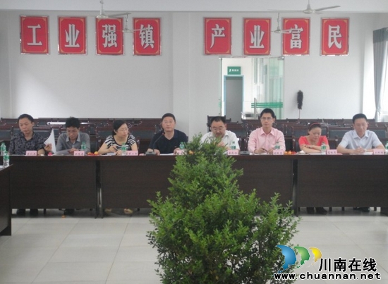 合江县召开蔬菜产业发展暨基地建设汇报会