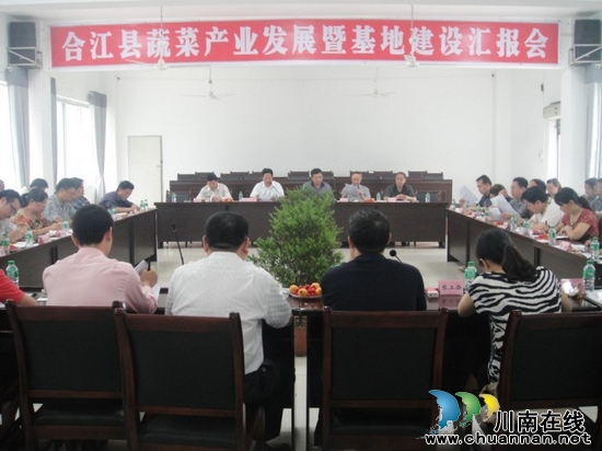 合江县召开蔬菜产业发展暨基地建设汇报会(图1)