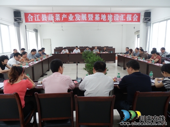 大桥镇：大力发展蔬菜产业&nbsp;打造合江最大蔬菜基地