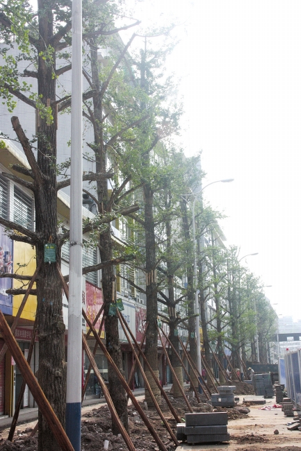 内江城改提速 入城线升级过半(图2) 内江城改提速 入城线升级过半(图2)