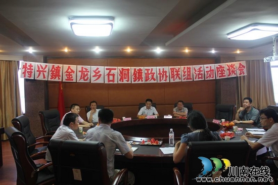 石洞镇：开展政协联组活动