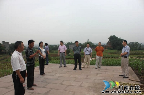 石洞镇：开展政协联组活动(图1)