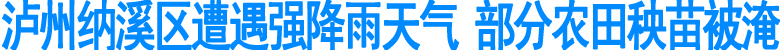泸州纳溪区遭遇强降雨天气&nbsp;部分农田秧苗被淹