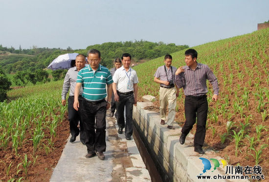 泸州市副市长李晓宇深入通滩镇调研农业发展工作(图1) 泸州市副市长李晓宇深入通滩镇调研农业发展工作(图1)
