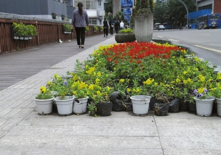 泸州：头上空降花盆&nbsp;行人车辆常“中招”
