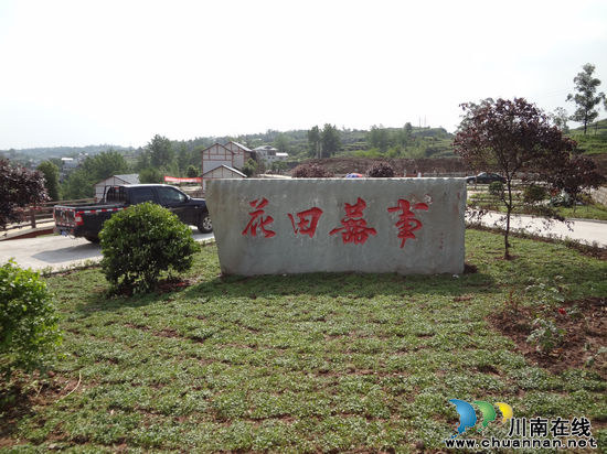 华阳街道:打造“花田喜事”主题花园(图2) 华阳街道:打造“花田喜事”主题花园(图2)
