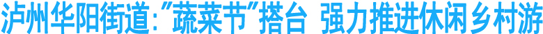 泸州华阳街道:"蔬菜节"搭台&nbsp;强力推进休闲乡村游