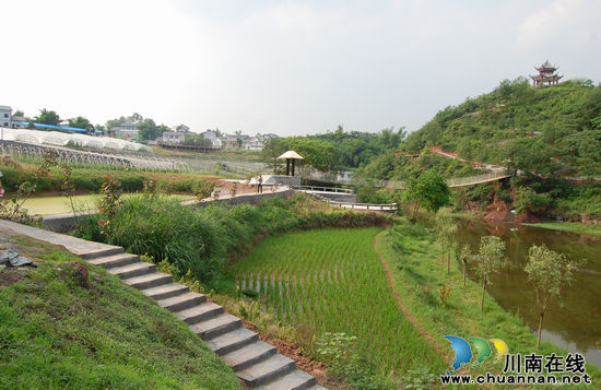 泸州华阳街道开启美丽篇章 记者采风体验乡村旅游(图7) 泸州华阳街道开启美丽篇章 记者采风体验乡村旅游(图7)