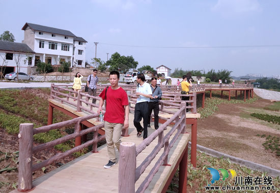 泸州华阳街道开启美丽篇章 记者采风体验乡村旅游(图2) 泸州华阳街道开启美丽篇章 记者采风体验乡村旅游(图2)