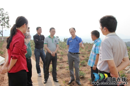 省委农工委调研泸州市合江新农村示范片建设(图1)