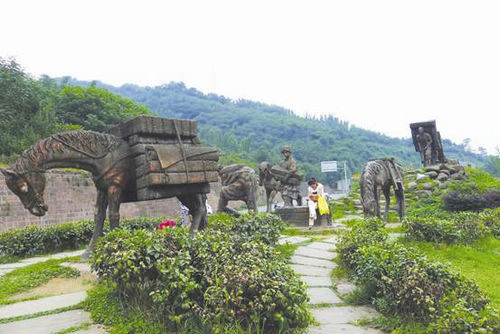 骑行有毒，我们已经中毒太深(图5)