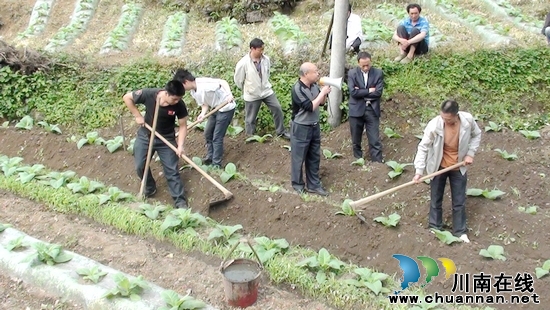 营山乡：召开烤烟揭膜培土现场会(图1)