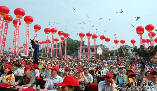 泸州:逛华阳蔬菜节 体验趣味乡村游(图2) 泸州:逛华阳蔬菜节 体验趣味乡村游(图2)