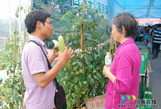 泸州:逛华阳蔬菜节 体验趣味乡村游(图11) 泸州:逛华阳蔬菜节 体验趣味乡村游(图11)