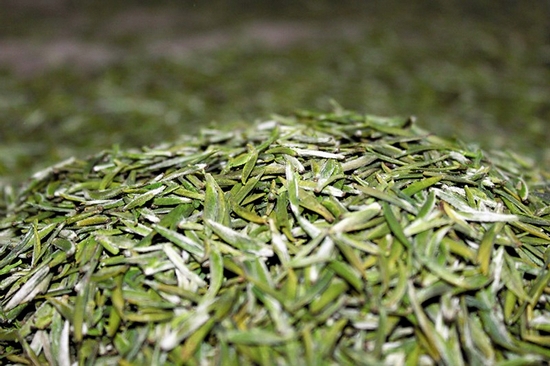 宜宾：悠悠三千载&nbsp;戎州茶飘香(图3)