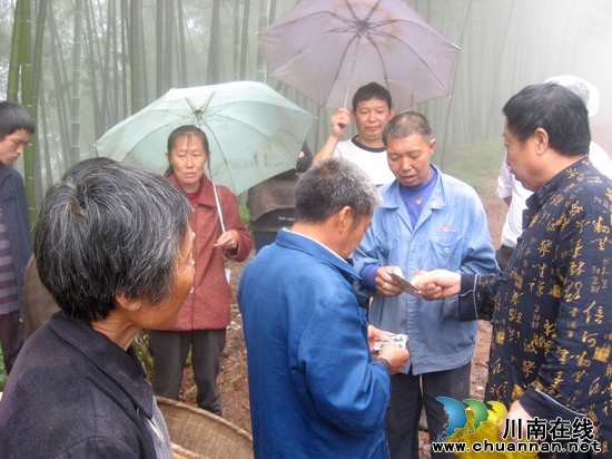 纳溪区民政局:“1+N”帮扶重实效(图2) 纳溪区民政局:“1+N”帮扶重实效(图2)