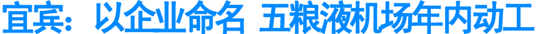 宜宾：以企业命名&nbsp;五粮液机场年内动工(图1)