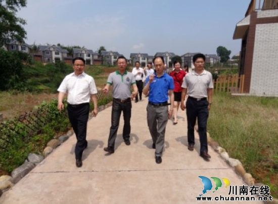 省委农工委调研纳溪区新农村建设(图1)
