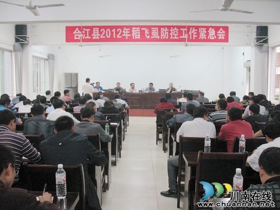 合江县2012年稻飞虱防控工作紧急会在大桥镇召开(图1) 合江县2012年稻飞虱防控工作紧急会在大桥镇召开(图1)